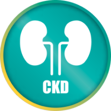 Prof-merlin-keyfact1