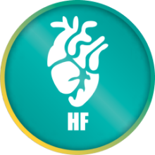 Prof-merlin-keyfact2