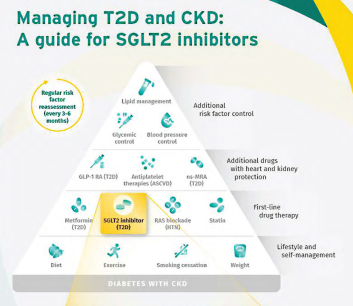 2022 KDIGO Guideline Summary