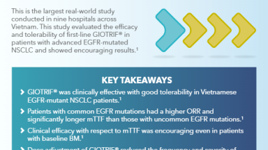 PC-SG-102626-thumbnail